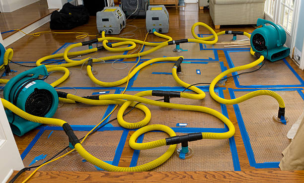 Professional Structural Drying And Dehumidification technician working in Mantua, VA